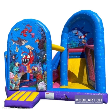 chateau gonflable ocean